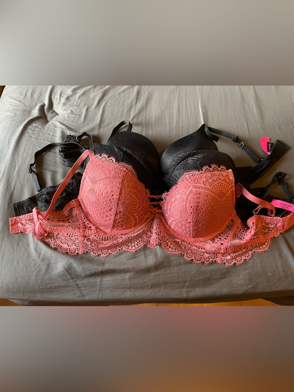🦆 LeSenza | NEW 36d Bras